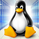 Illustration for article titled The XFS File System Explained for Beginnersem/em